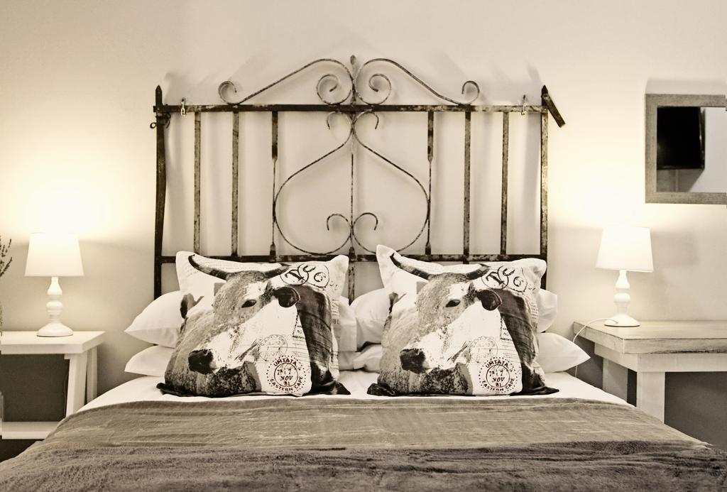 Pumpkin Tree Guesthouse Middelburg  Chambre photo